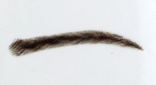Haarprodukt090.jpg
